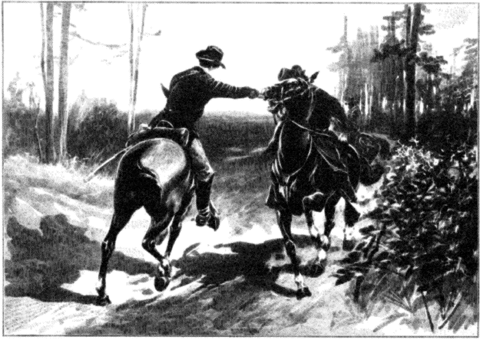 THE FORCE OF THE BLOW THREW THE COLONEL FORWARD ON HIS SADDLE. THE FORCE OF THE BLOW THREW THE COLONEL FORWARD ON HIS SADDLE.