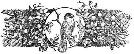 Chapter illustration