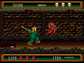 Splatterhouse 2